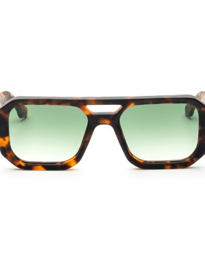 APPOLD TARTARUGA G15