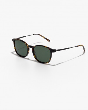 CLAPTON HABANA OLIVE