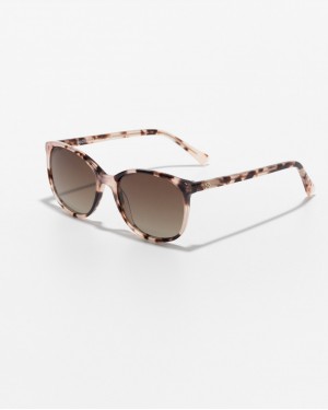 FRANKLIN ROSE BROWN GRADIENT