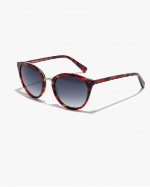 KELLY HABANA BLACK GRADIENT