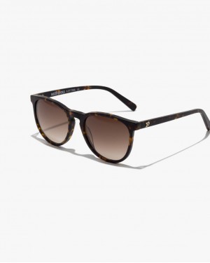 TINA MATE HABANA GRADIENT